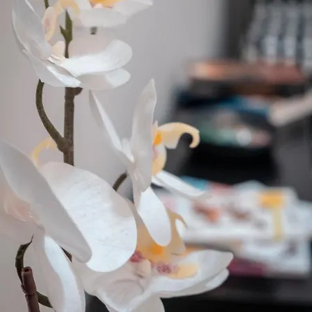 Bed & Breakfast Civico 8 - Parma