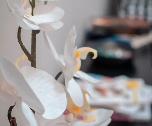 Bed & Breakfast Civico 8 - Parma